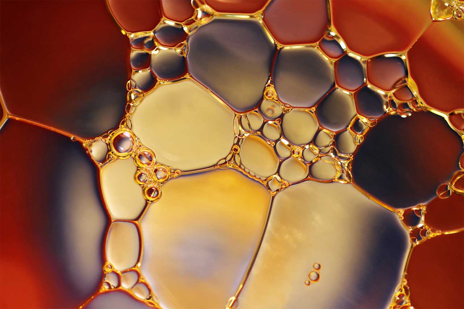 EPA Proposes To Restrict Certain Persistent, Bioaccumulative, and Toxic Chemicals