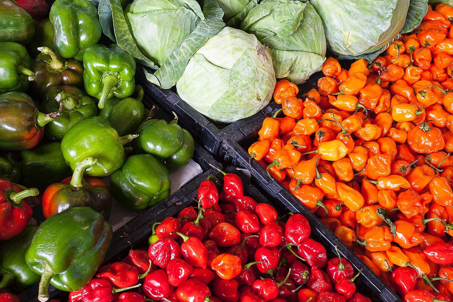 UK Department of Environment, Food and Rural Affairs Announces Public Consultation on Regulation of Gene Edited Organisms
