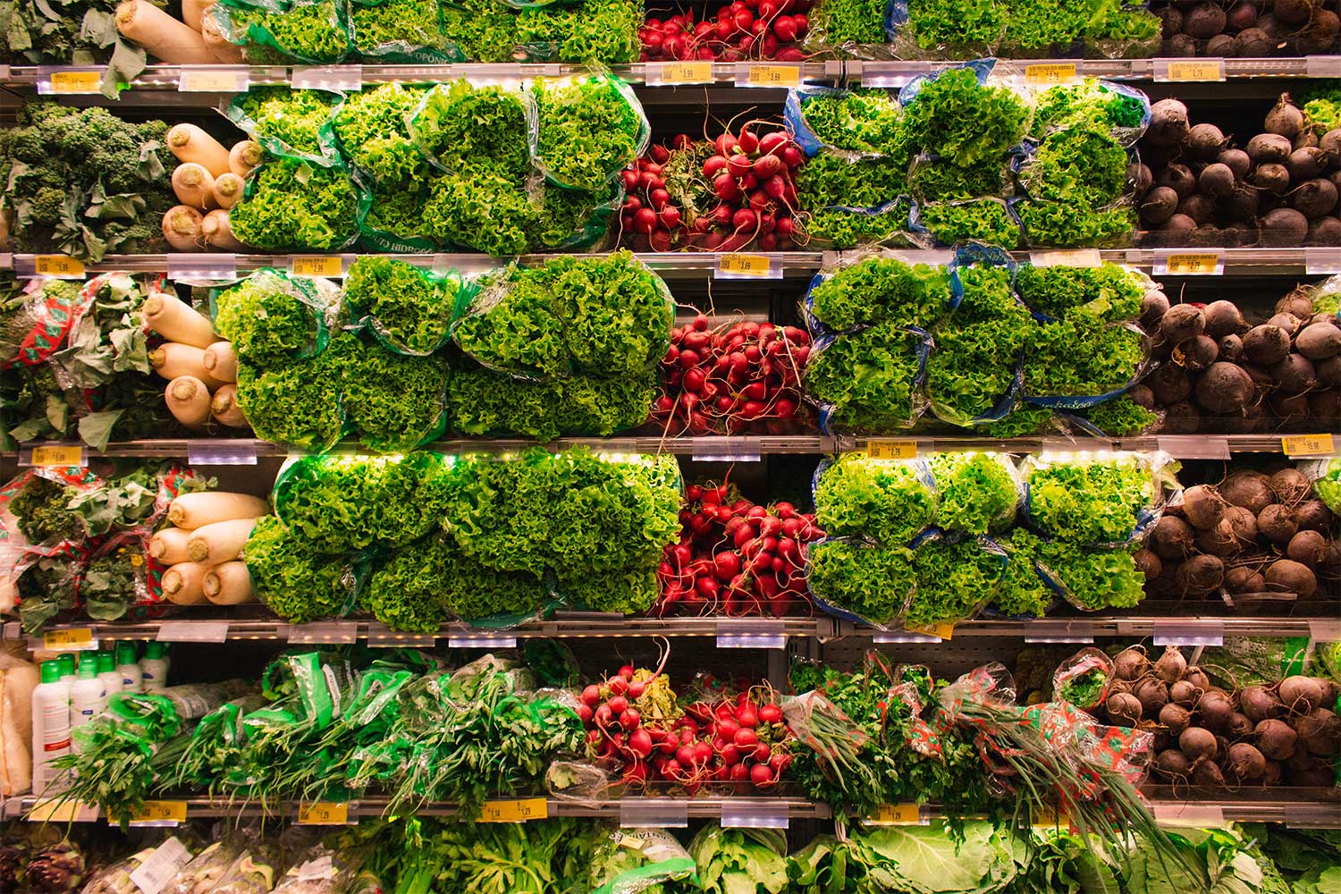 USDA Animal and Plant Health Inspection Service Modernizes Its Approach to GE Organisms