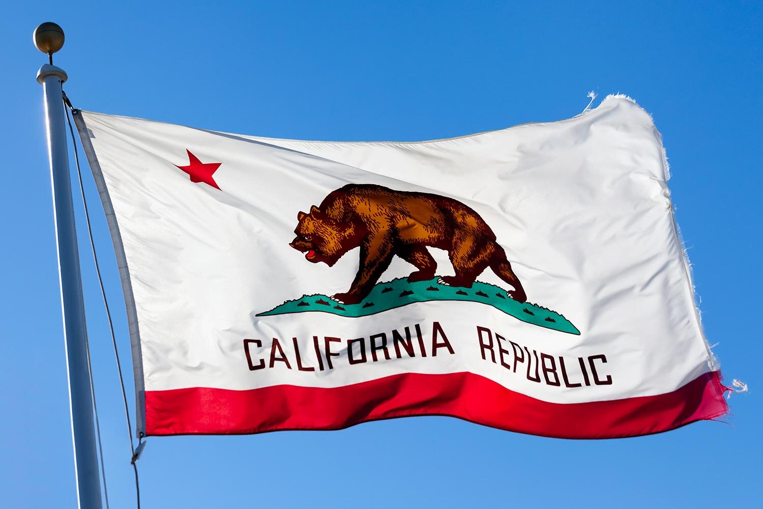 News from California: Labels Are About to Get Longer