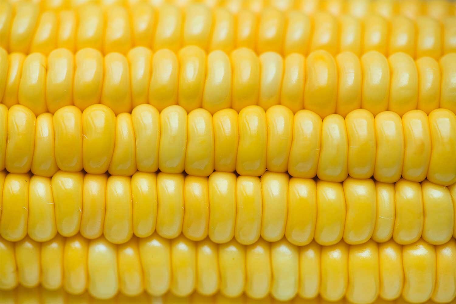 Keith Matthews and Chris Wozniak: Talking Ag Biotech Episode 4